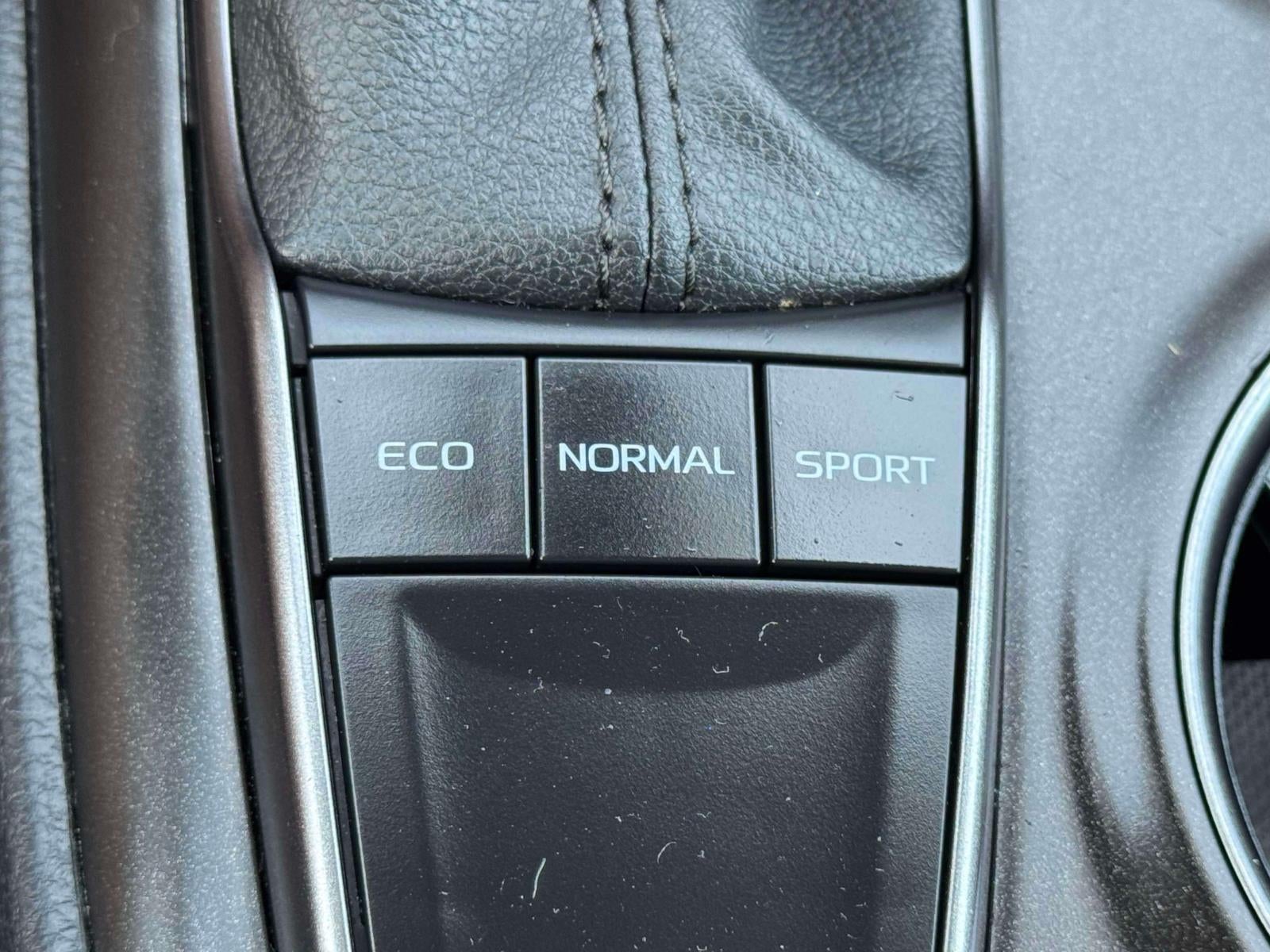 2024 Toyota Camry SE Auto (Natl)