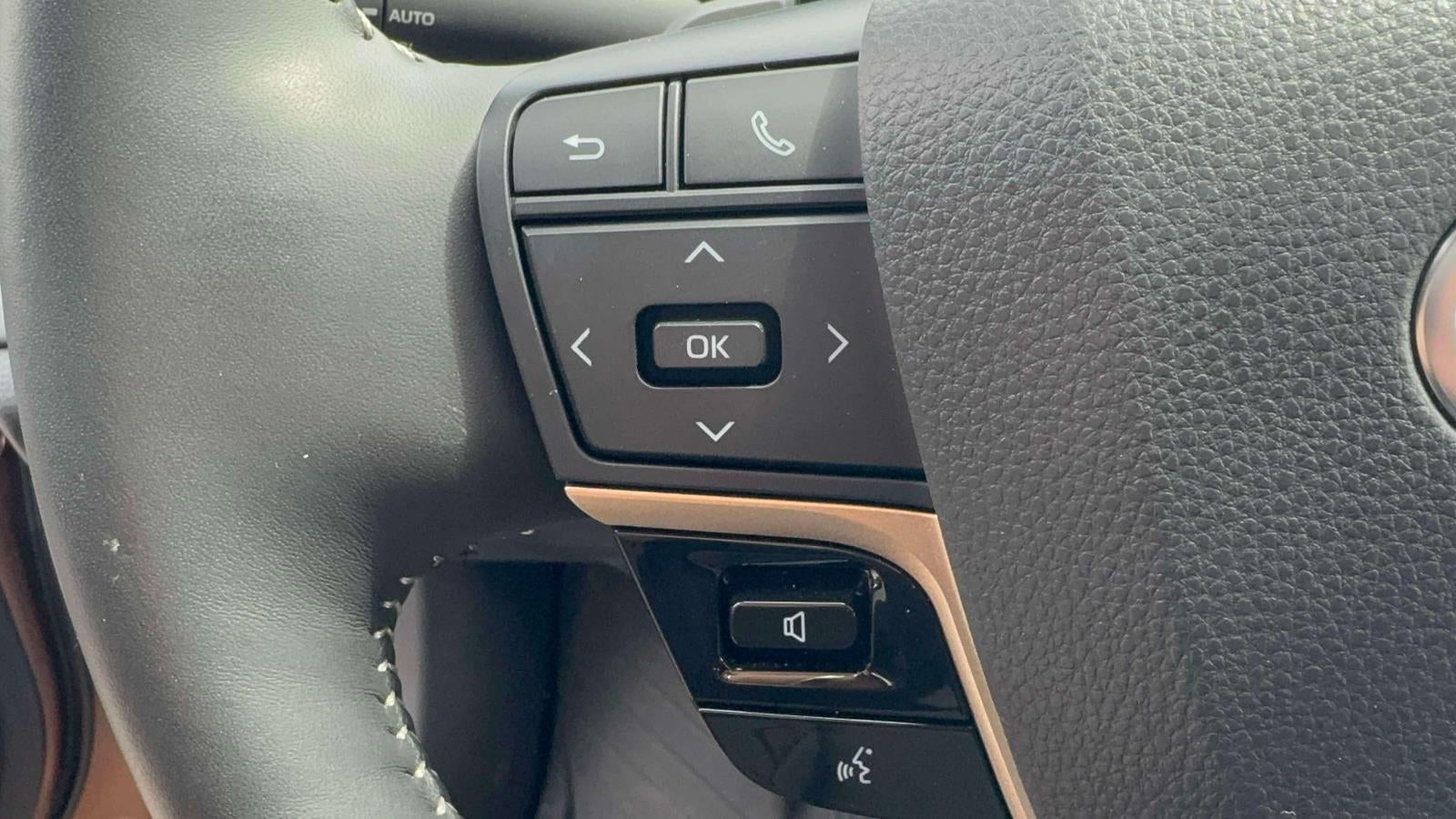 2025 Toyota Crown Platinum AWD (Natl)