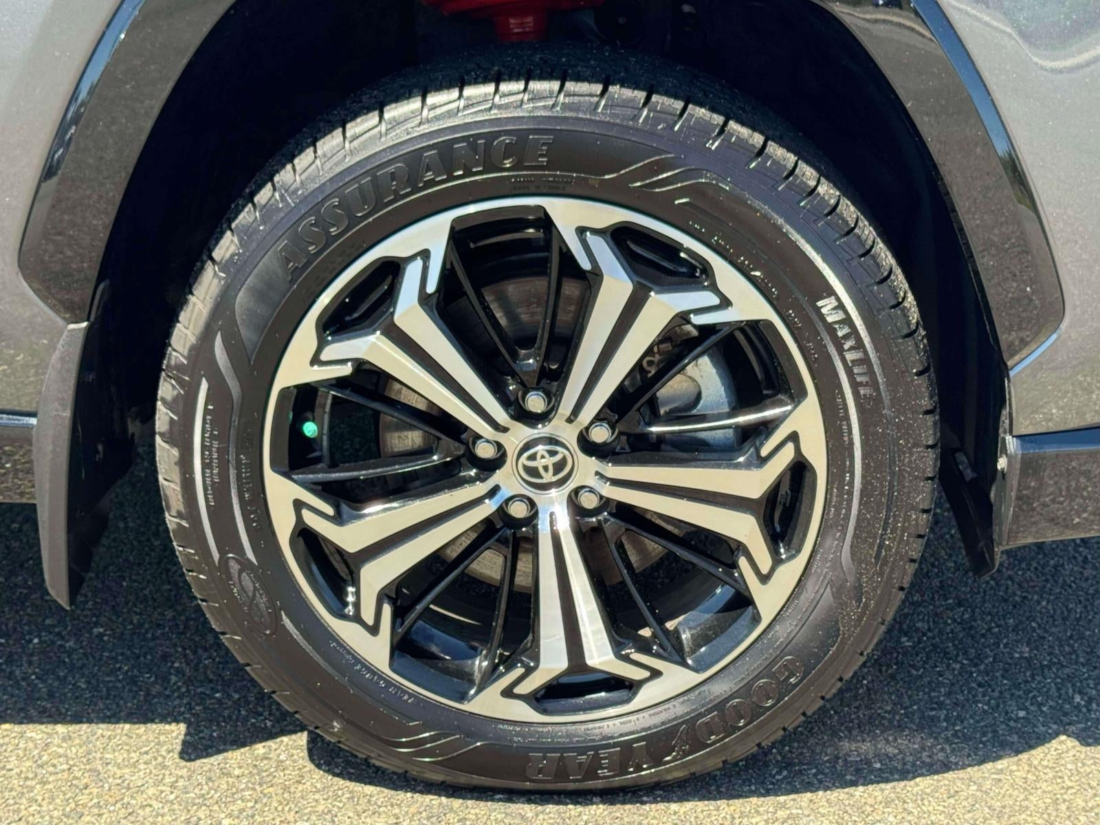 2024 Toyota RAV4 Prime XSE (Natl)