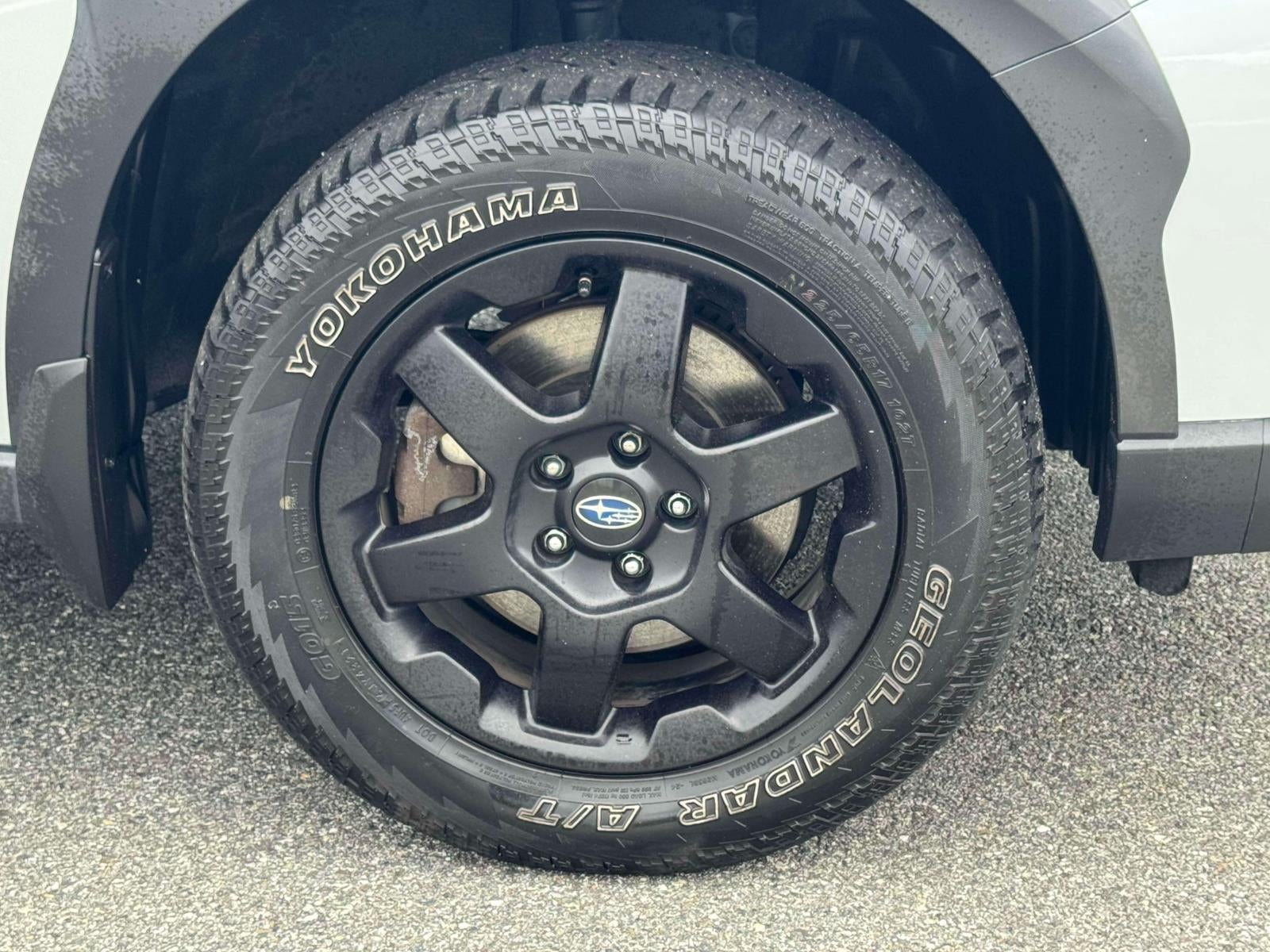 2023 Subaru Outback Wilderness CVT